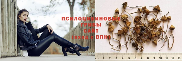 трава Куйбышев