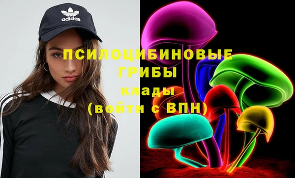 хмурый Краснослободск